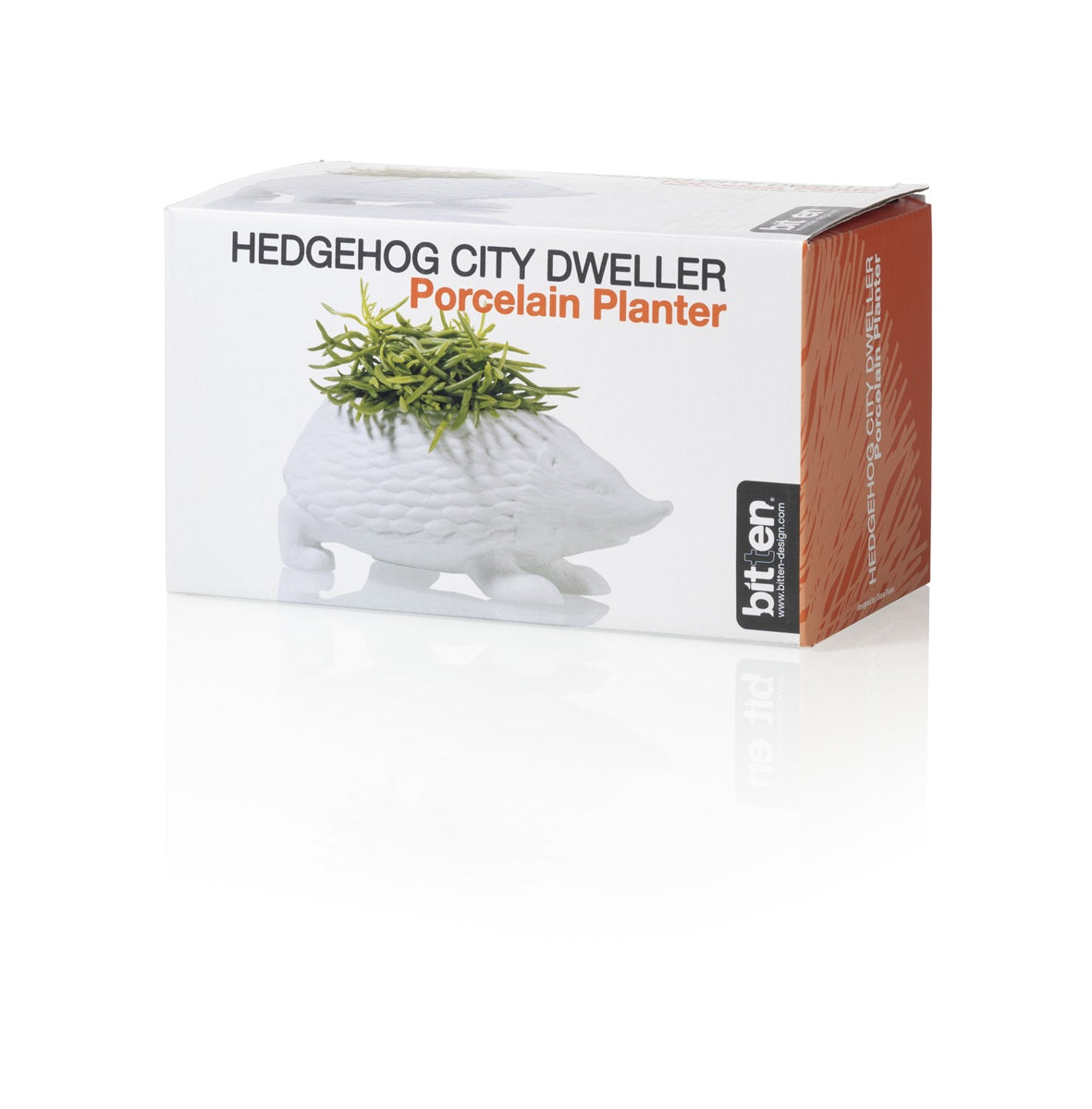 Hedgehog to plant