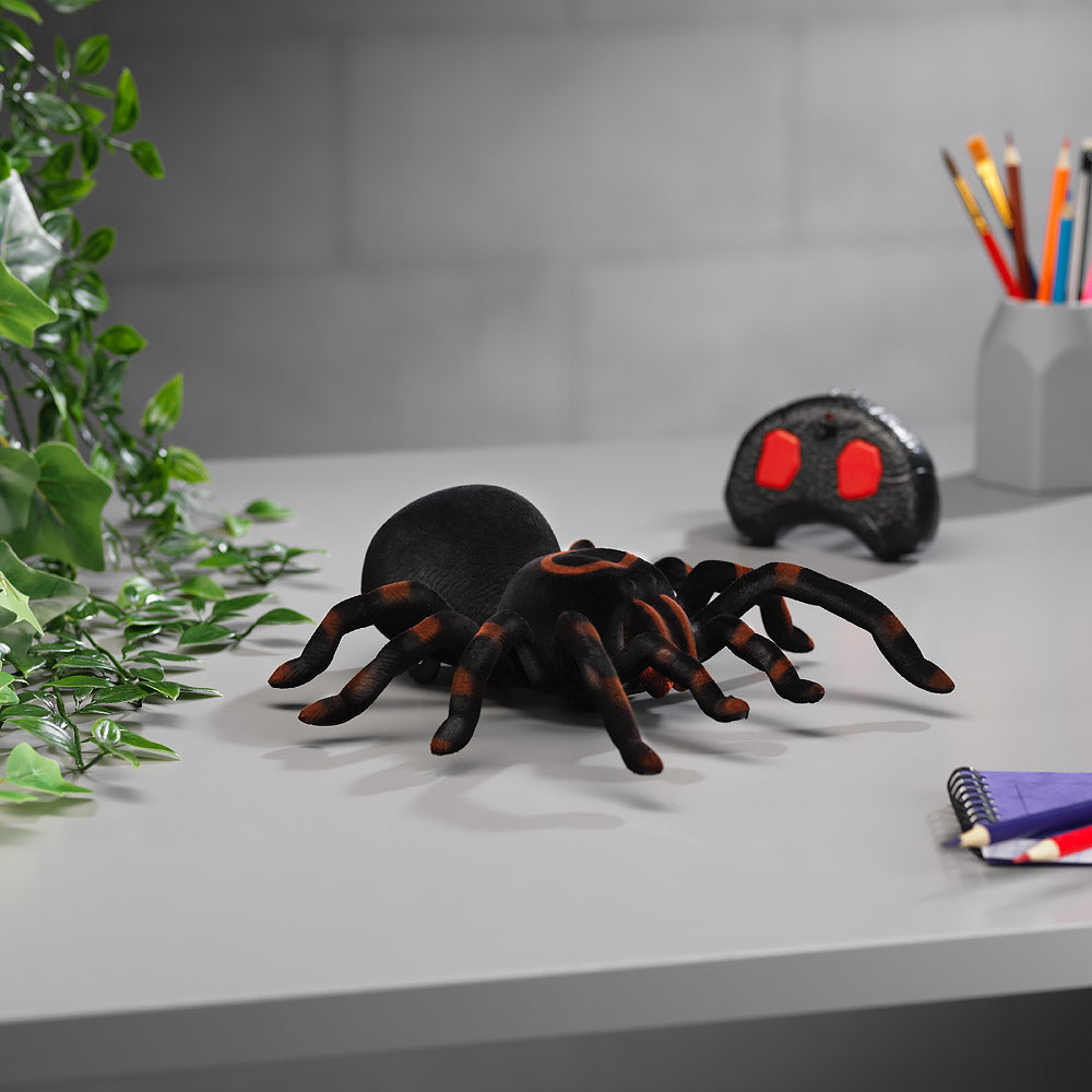 Scary Tarantula