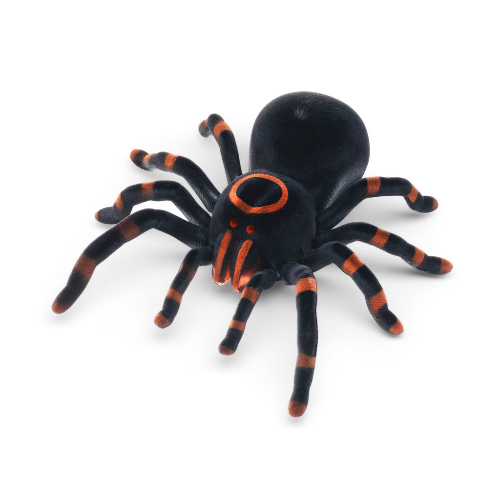 Scary Tarantula