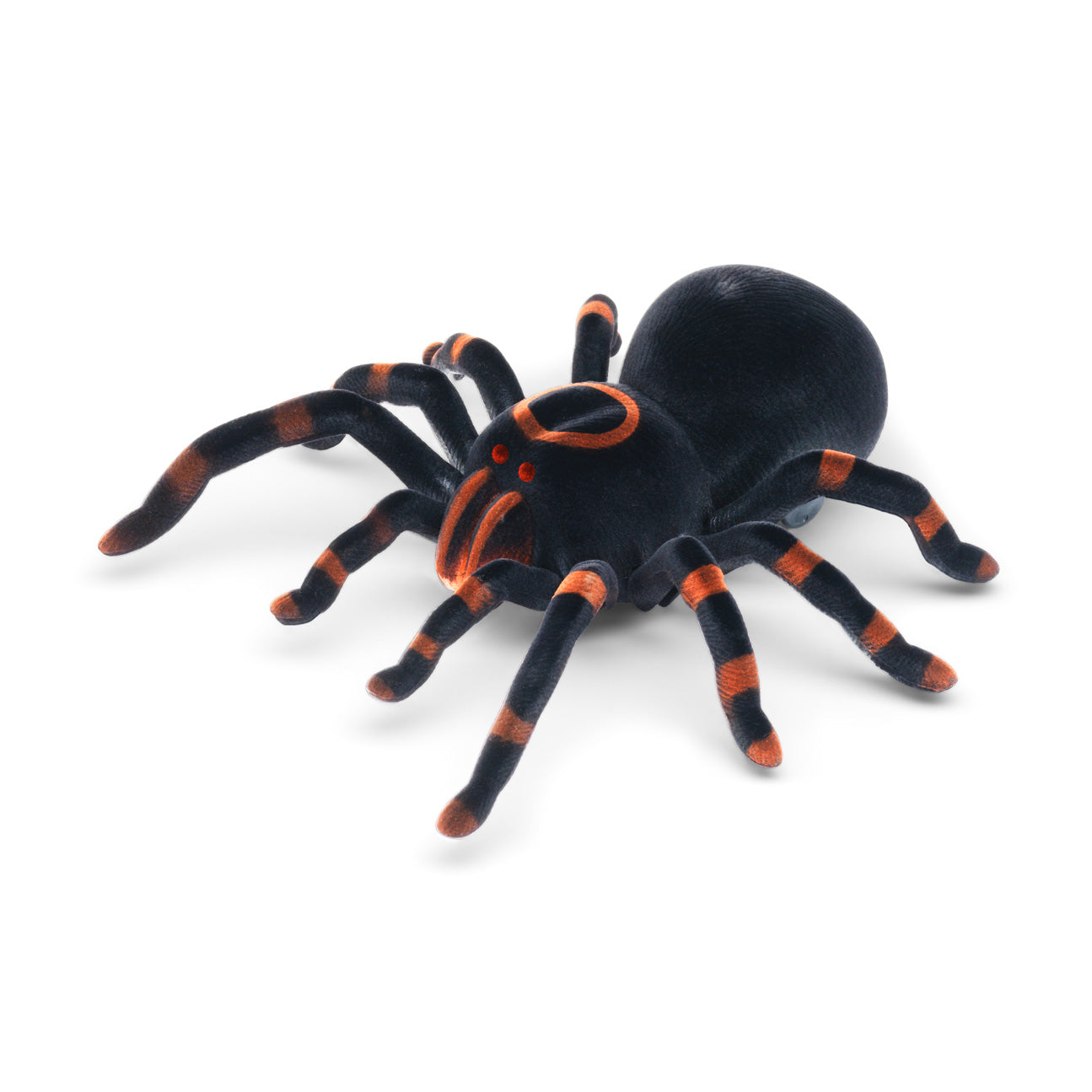 Scary Tarantula